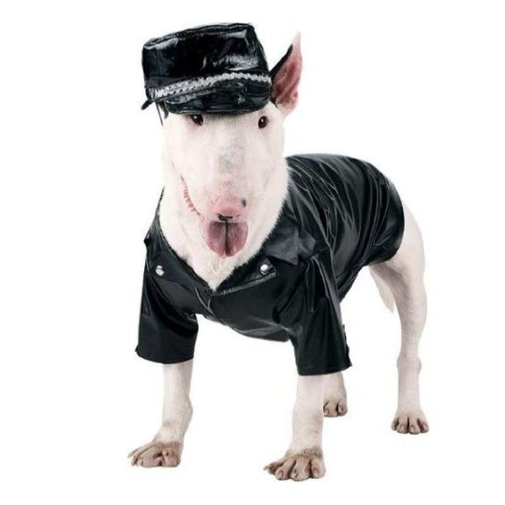BIKER PET COSTUME Size Medium Brand New